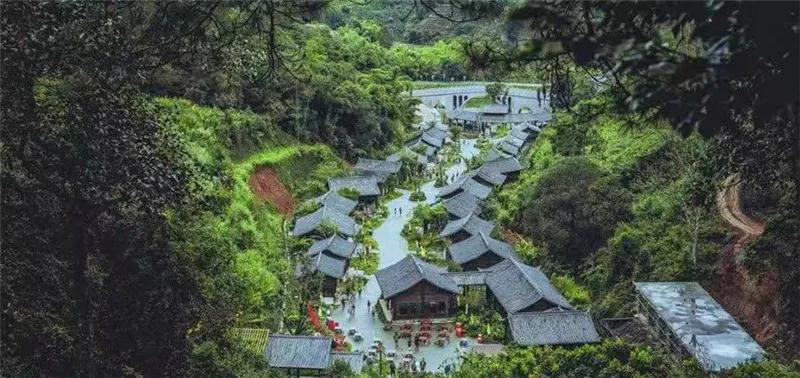普洱特色團建,浪漫茶旅+美食精品兩日游經(jīng)典線路推薦 普洱特色團建,浪漫茶旅+美食精品兩日游經(jīng)典線路推薦