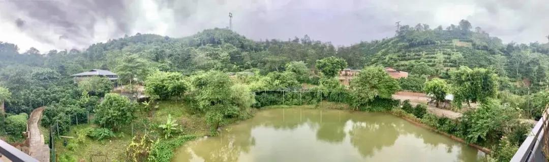 普洱特色團建:普洱小凹子咖啡莊園 普洱特色團建:普洱小凹子咖啡莊園