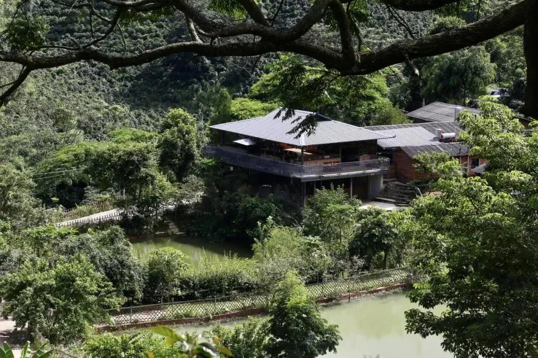 普洱特色團建:普洱小凹子咖啡莊園 普洱特色團建:普洱小凹子咖啡莊園