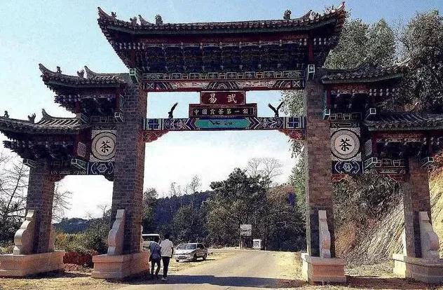 普洱特色團建-古茶山行 普洱特色團建-古茶山行