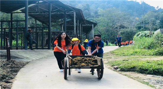 普洱研學旅游 普洱研學旅游